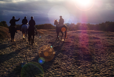 buitenrit 003kl